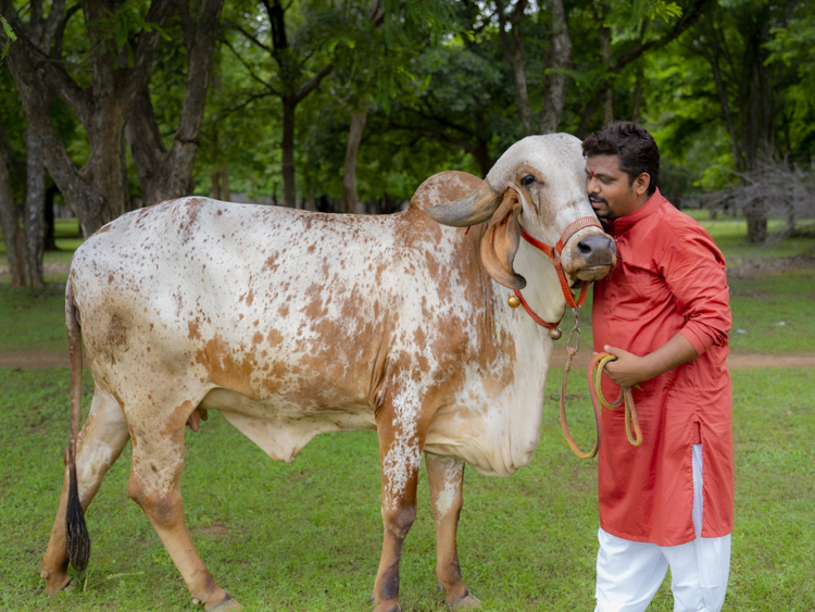 Hindu Rashtra Sangh